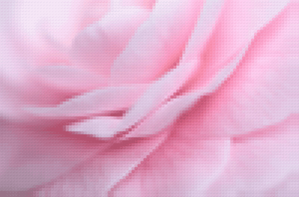 乙女椿 ピンク色の花